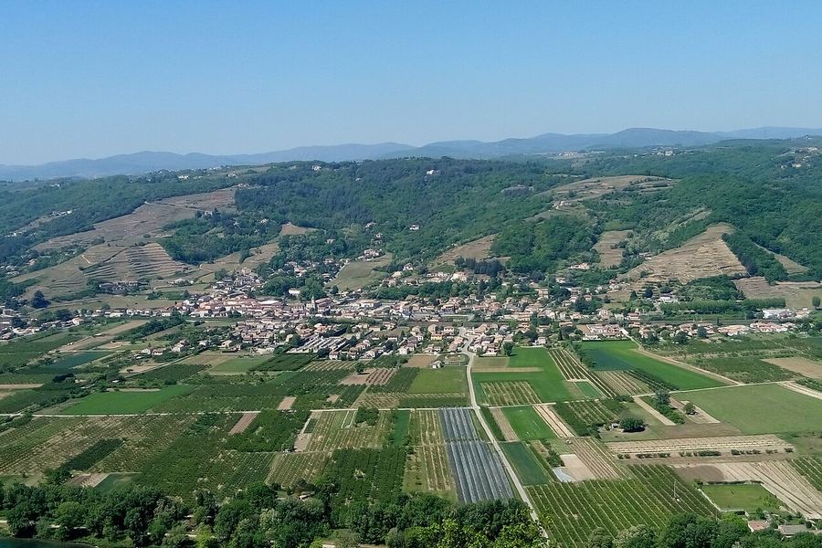 ローヌ河畔の村を見下ろす丘の斜面。段々に刻まれた区画が山肌を覆う