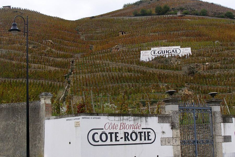 コート・ブロンドの斜面と、ふもとに掲げられた「Côte Blonde CÔTE-RÔTIE」の看板