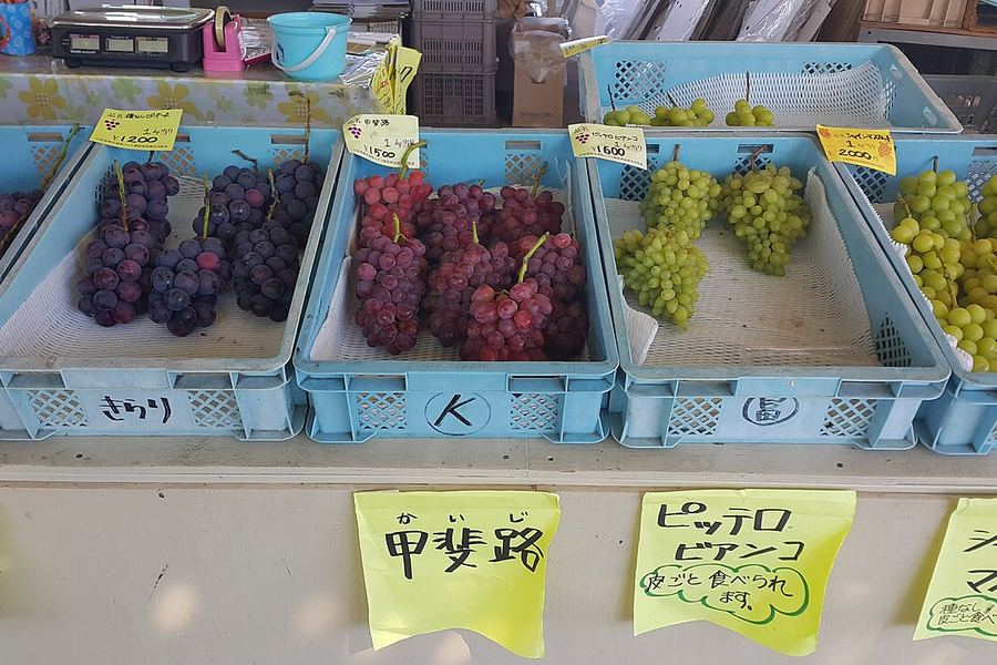 勝沼のぶどう