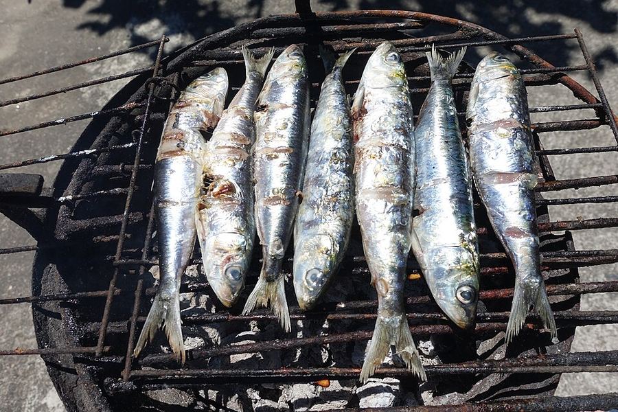 炭火の上の古い焼き網に、銀色に光る丸ごとのイワシが7尾並べられている