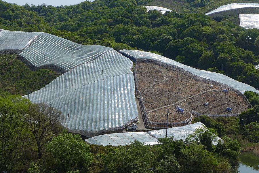 緑の木々に覆われた山の斜面に、銀色のビニールで覆われたぶどう畑がいくつも広がっている。覆いのない一角には、ぶどう棚の骨組みと土の地面が見える