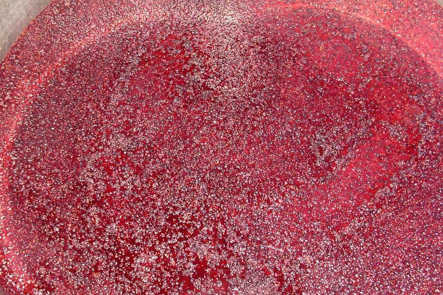 発酵が始まったばかりのピノ・ノワールの果醪。深紅の果皮と果汁の表面に細かな泡が立っている
