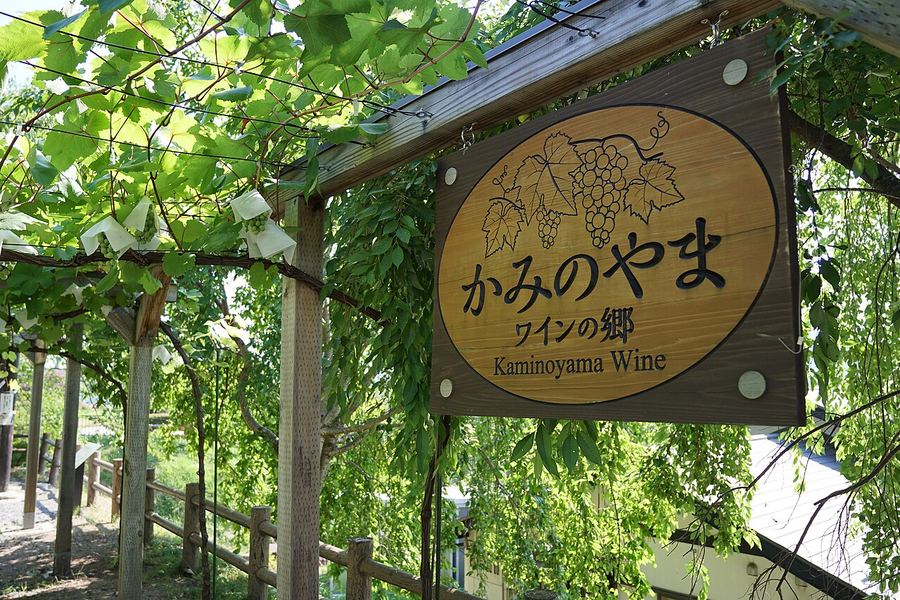 山形完全編のイメージ