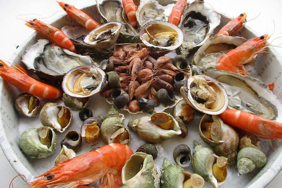 魚介とワイン完全編のイメージ